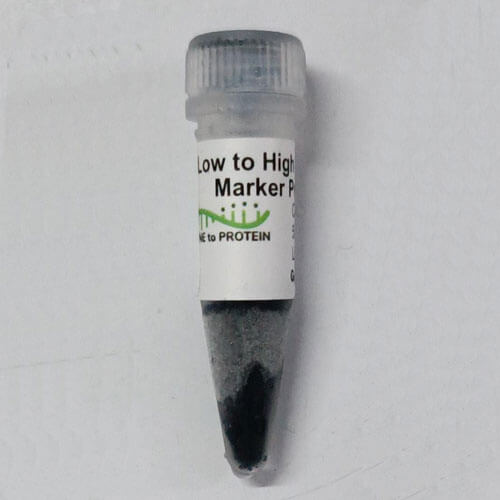 ​​MWM-020-Low to High MW Protein Marker Prestained