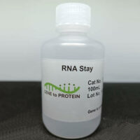 RNA Stay (Equivalent to RNAlater) Cover Image
