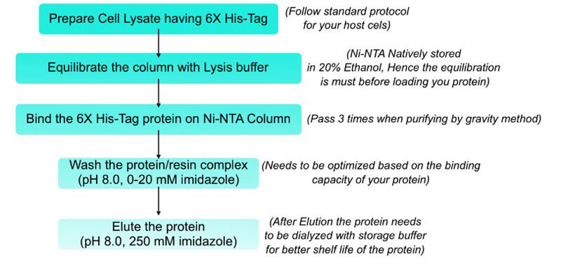 Ni Nta Resin Slurry Affinity Purification Of Proteins With X His Tag